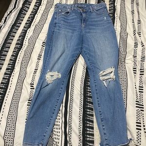 american eagle curvy high rise jegging